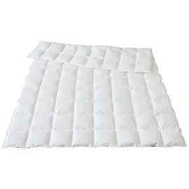 Traumina Plume Bio Daune Einziehdecke WK2 - 155x220cm