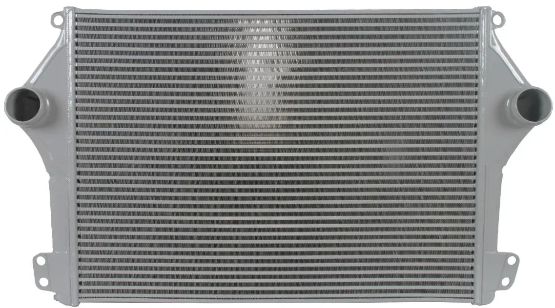 Intercooler THERMOTEC DASC010TT