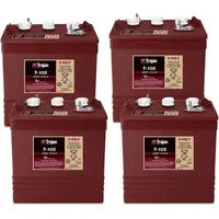 Trojan Ersatzakku für Lift-A-Loft Hebebühne SPN20-7.5 24V Akku -