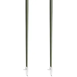 Leki Flash Carbon 130 cm grün-schwarz