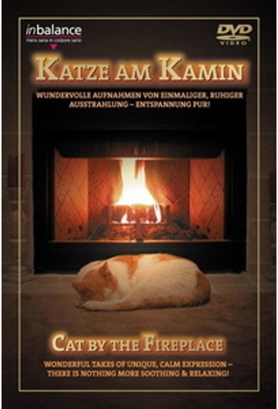 Katze Am Kamin (DVD)