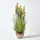 Homescapes KUNSTPFLANZE Lavendel gelb 66 cm