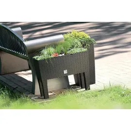 Prosperplast Rato Case High 80 x 33 x 62 cm anthrazit