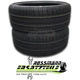 MINERVA Ecospeed 2 SUV 265/65 R17 112H TL