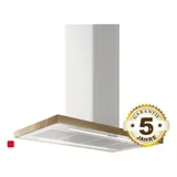 ELICA Bio Island WH/A/120X53 Insel-Dunstabzugshaube edelstahl (PRF0148081)