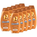 Schauma Schwarzkopf Reparatur-Shampoo Arganöl-Pflege (10x 400 ml), Haarshampoo repariert das Haar intensiv, Repair Shampoo für trockenes & geschädigtes Haar, mit Arganöl und Macadamiaöl