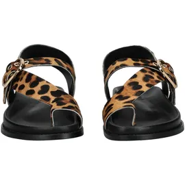 Inuovo Zehentrenner Leopard 38