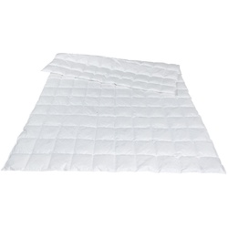Traumina Plume Bio Daune Einziehdecke WK1