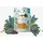 VegDog Adult Linsen & Hirse 6 x 400 g