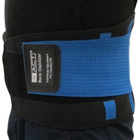scarlet health | Rückengurt »XACT« zur Stabilisierung & Haltungskorrektur; lindert Schmerzen; für Damen und Herren; Größen S - XXL (Blau, L)