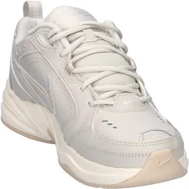 Nike Air Monarch IV Light Bone/Sanddrift/Spruce Aura 42,5