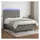 vidaXL Boxspringbett mit Matratze & LED Dunkelgrau 140x200 cm Stoff