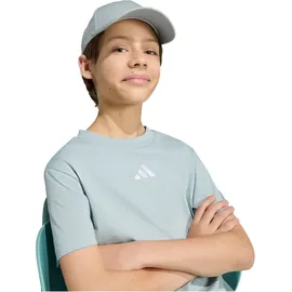 adidas Essentials T-Shirt Kinder KD3367 - wonder sage/white 152