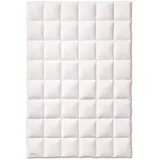 Kauffmann Weidegans Daunendecke medium