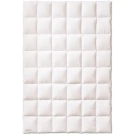 Kauffmann Weidegans Daunendecke medium