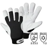 leipold doehle Griffy Schutzhandschuhe, Winter-Montagehandschuhe 9, L EN 397 CAT II 1 Paar
