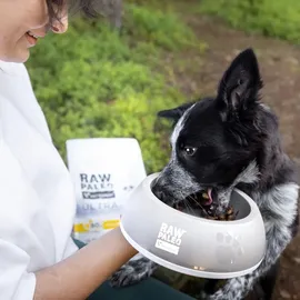 raw paleo Ultra Truthahn Puppy 2 kg