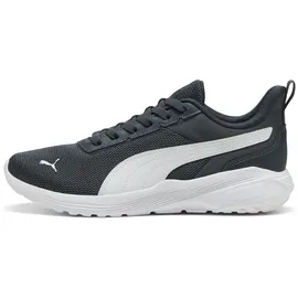 Puma ANZARUN 2 LITE SLIPTECH Herren Grau/Weiß 40
