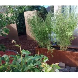 Palatino Lotte 80 x 40 x 50 cm Braun