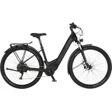 Fischer E-Bike ATB Terra 8.0i 29 Zoll RH 43cm 10-Gang 711 Wh schwarz