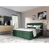 Fun Möbel Boxspringbett Schlafzimmerbett LINNEA 200x200cm Stoff Grün inkl. Bettkasten - Grün