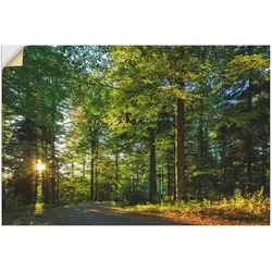 Artland Wandbild »Waldweg im Romantischen Schwarzwald«, Waldbilder, (1 St.), als Alubild, Outdoorbild, Leinwandbild, Wandaufkleber, versch. Größen Artland Farbe Bild(er): grün