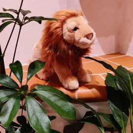 TOBAR Animigos Löwe 37 cm