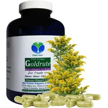 Vitalleben Echte Goldrute Solidago Kapseln 360 St.