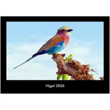 Vero Kalender Vögel 2026 Fotokalender DIN A3
