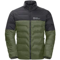 Jack Wolfskin Winter-Daunenjacke DNA Tundra (sehr warm, winddicht) grün Herren