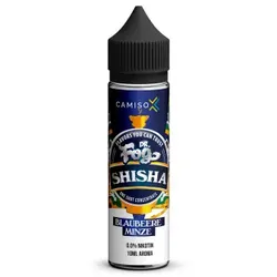 Blueberry Mint 10ml Longfill Aroma by Dr.Fog Shisha