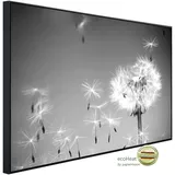Papermoon Infrarotheizung »EcoHeat & Pusteblume Schwarz + Weiss«, Matt-Effekt - bunt