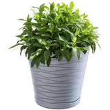 Kadax 30 x 30 cm Grau