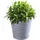 Kadax 30 x 30 cm Grau
