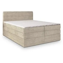 masseno Lunera 160 x 200 cm H2 Creme