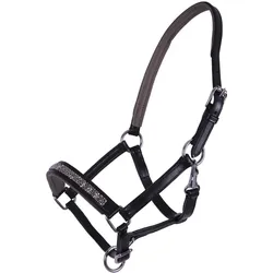 Fohlenhalfter aus Leder QHP Lupine grau WARMBLUT