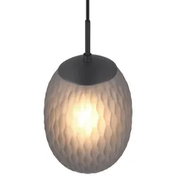 Trio T364200154 Pendelleuchte FACETTE  E27