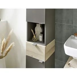 Pelipal Quickset 394 Hochschrank 30 cm Quarzgrau/Akzent Beige/Grau Holz