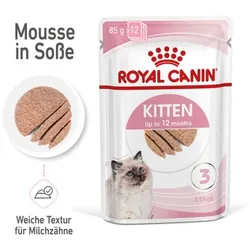 ROYAL CANIN Kitten Mousse in Soße 12x85 g