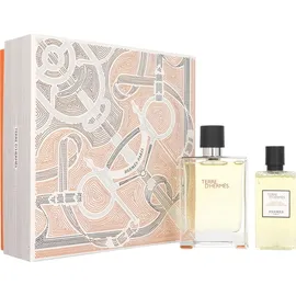 Hermès Terre Eau de Toilette 100 ml + Duschgel 80 ml Geschenkset
