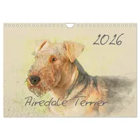 Calvendo Airedale Terrier 2026 (Wandkalender 2026 DIN A4 quer),