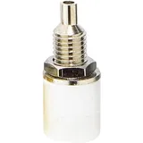 TRU Components Laborbuchse Buchse, Einbau vertikal Stift-Ø: 4 mm Weiß 1 St.