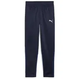 Puma teamGOAL Training Pant Jr