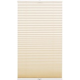 GARDINIA Plissee Concept Tageslicht 80 cm x 210 cm beige