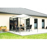 SHELTERLOGIC Canopy Pacifica grau