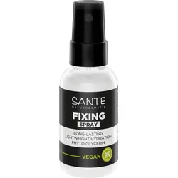 Fixing Spray