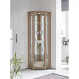 fif möbel Eckvitrine TRIO Höhe ca. 172 cm, ink. Beleuchtung Eckvitrine/Glasvitrine 1x Glastür, perfekt für Sammler, Sammlervitrine braun