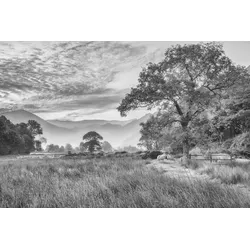 Fototapete PAPERMOON "LANDSCHAFT-SCHWARZ WEIßNATUR BÄUME BERGE GEBIRGE WALD", bunt, B:3,50m L:2,60m, Vlies, Tapeten