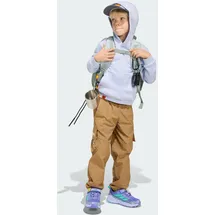 adidas Minecraft Terrex Braun 164