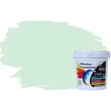 RyFo Colors Silikonharz Fassadenfarbe Lotuseffekt Trend Aloegrün 1l - bunte Fassadenfarbe, weitere Grün Farbtöne und Größen erhältlich, Deckkraft Klasse 1
